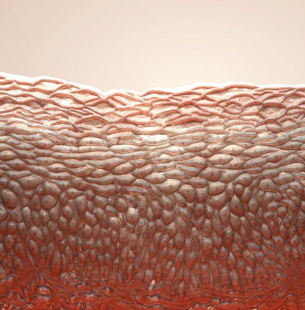 Perimenopause Skin Changes: How to Treat Loose, Crepey Skin